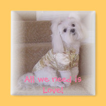 All we need is Love! magnets by victoriaray All we need is Love! magnets