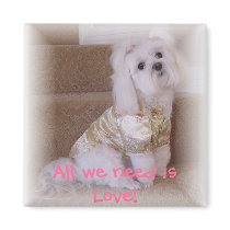 All we need is Love! magnets by victoriaray All we need is Love! magnets