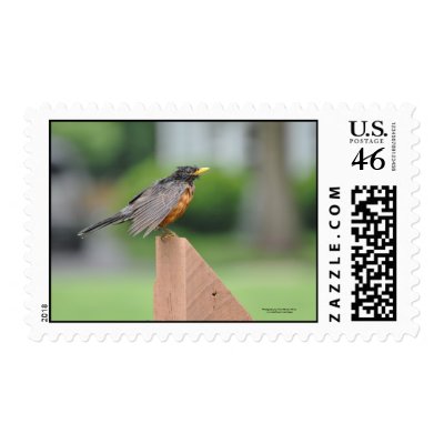 All wet! stamp by vsoimages