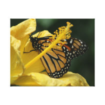 All Yellow canvas prints