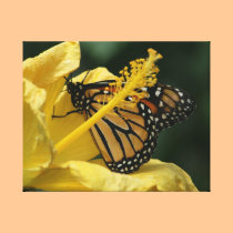 All Yellow canvas prints