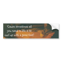 All you need in life... bumper stickers
