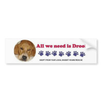 All You Need is Drool bumper stickers
