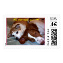 All you need is...LOVE! postage by Jerseygirl032 All you need is...LOVE! postage