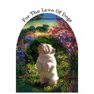 ladies_casual_scoop - Chinese Shar-pei T-shirt