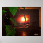 All you need poster