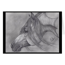 Allah's Grace Arabian Horse Greeting Cards