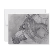 Allah's Grace Arabian Horse Custom Announcements