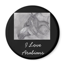 Allah's Grace Arabian Horse Fridge Magnets