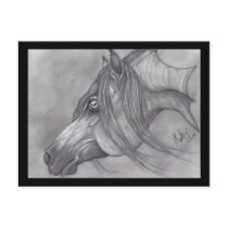 Allah's Grace Arabian Horse Post Cards
