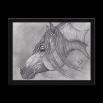 Allah's Grace Arabian Horse postcards