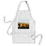 allambra aprons