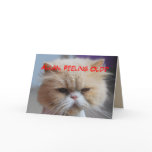 Allan Brother Birthday Persian Cat Humor