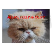 Allan Brother Birthday Persian Cat Humor Cards