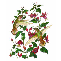 Allan's Hummingbird with Fuschia t-shirts by artbyjehf Allan's Hummingbird with Fuschia t-shirts