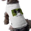 allears pet clothing by RoyalDphotos allears pet clothing