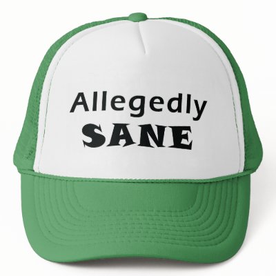 Allegedly Sane Hat by mrhineheart