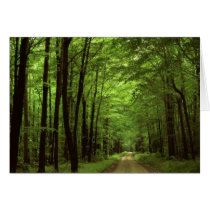 Allegheny National Park, Pennsylvania Greeting Card