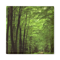 Allegheny National Park, Pennsylvania Fridge Magnets