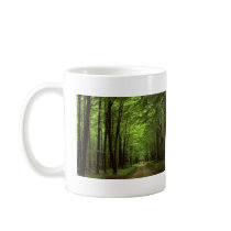 Allegheny National Park, Pennsylvania Mugs