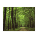 Allegheny National Park, Pennsylvania Postcard
