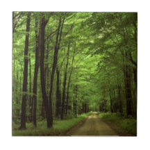 Allegheny National Park, Pennsylvania Tile