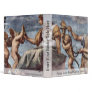 Allegory Of Virtue By Raffael (Best Quality) Binder