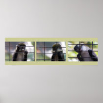 Allen's Swamp Monkey Photo Print