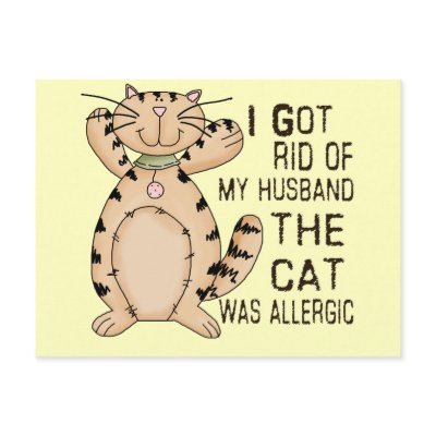 Allergic Cat Postcards by catanddog