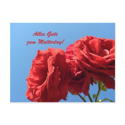 Alles Gute zum Muttertagmit rosa rosen Post Cards by Rainmountain