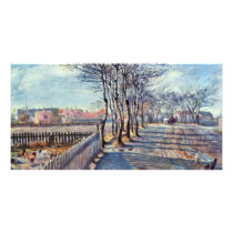Alley At Kastrup By Philipsen Theodor Esbern Photo Card