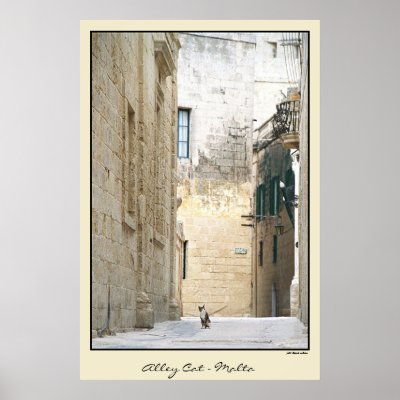 Alley Cat - Malta Poster by stephjmort