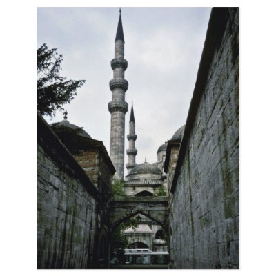 Alley Leading To Suleyman's Library, Suleymaniye C Flyer by BreathtakingNature