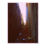 Alley posters