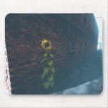 Alley SunFlower mousepads