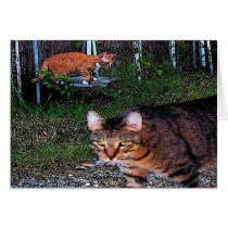 ALLEYCATS cards