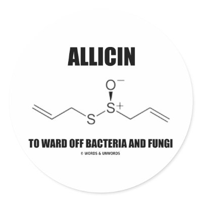 Allicin To Ward Off Bacteria And Fungi (Molecule) Round Stickers by wordsunwords