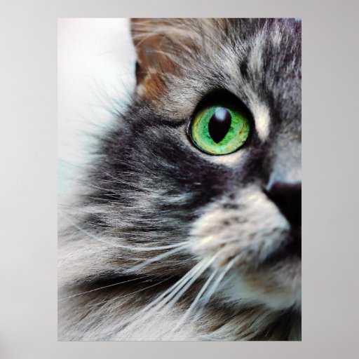 Allie (Half Face) Print