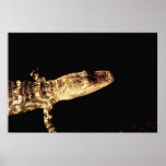 Alligator #1 posters