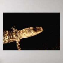 Alligator #1 poster