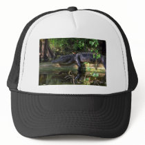 Alligator afternoon, Everglades, Florida Mesh Hats
