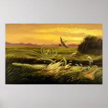Alligator Alley Print