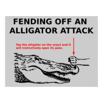 Alligator Attack Poster posters
