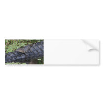 Alligator Baby & Mom Bumper Sticker