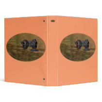 alligator binders by WorldDesign alligator binders