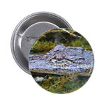 Alligator Button
