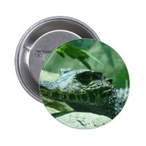 alligator,caiman buttons