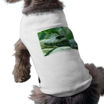 alligator,caiman pet clothing