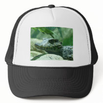 alligator,caiman hat