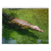 Alligator calendar